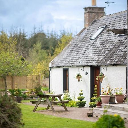 Cosy & Rustic Retreat - Woodland Cottage. Nairn Exterior foto